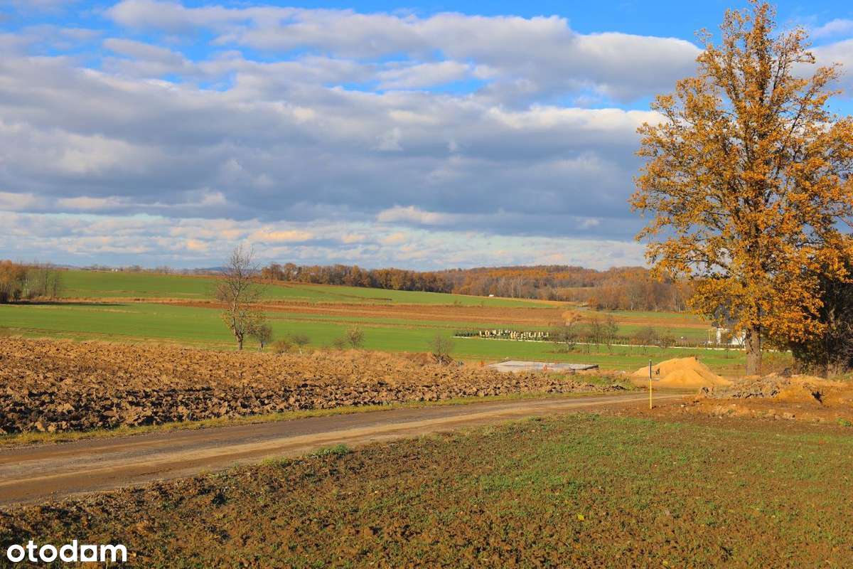 Duża Działka Budowlana w Atrakcyjnej Cenie! - Pełny obrazek: 3/10