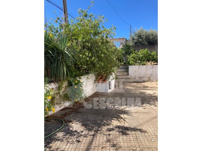 T3 ODEMIRA 379 000€.
MONTE ALENTEJANO ..-7