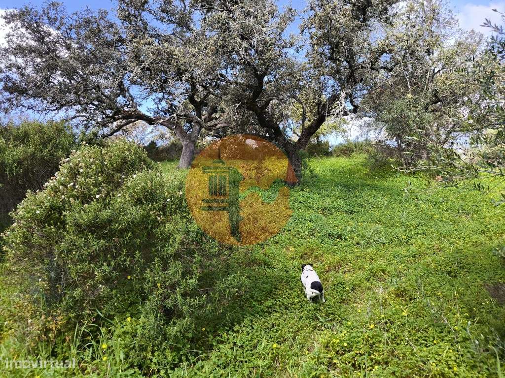 TERRENO RÚSTICO COM 3.4 HECTARES - COM POSSIBILIDADE DE CONSTRUÇÃO ... - Grande imagem: 3/27