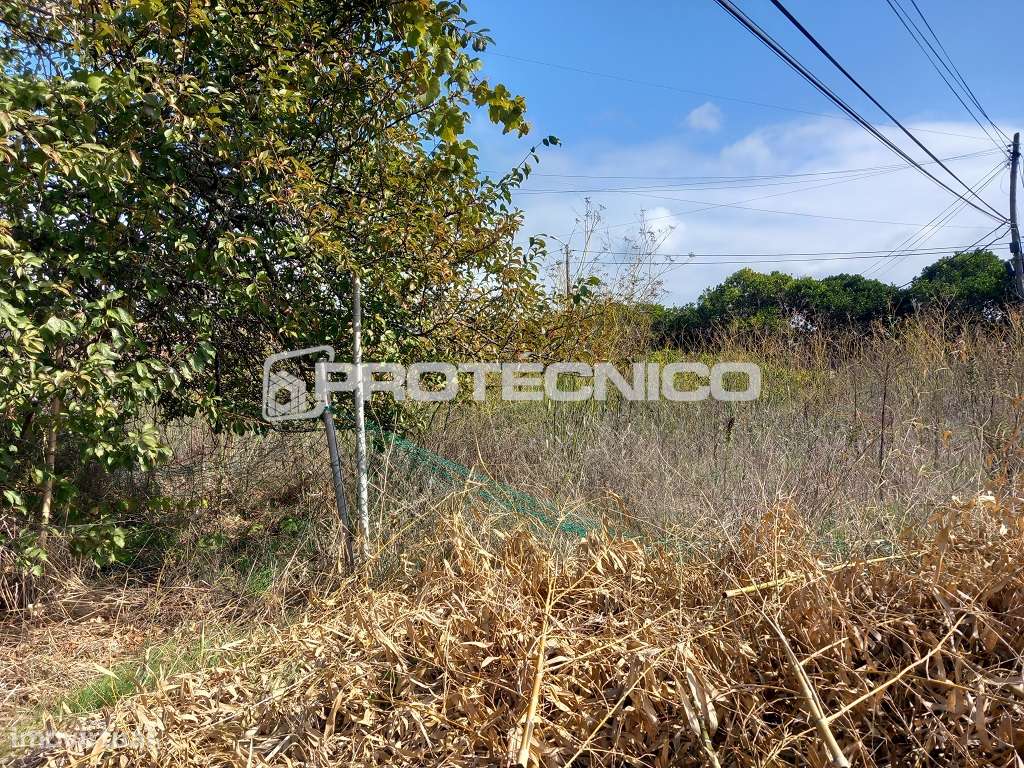 Terreno Misto em Ílhavo – Excelente Oportunidade de Investimento-4