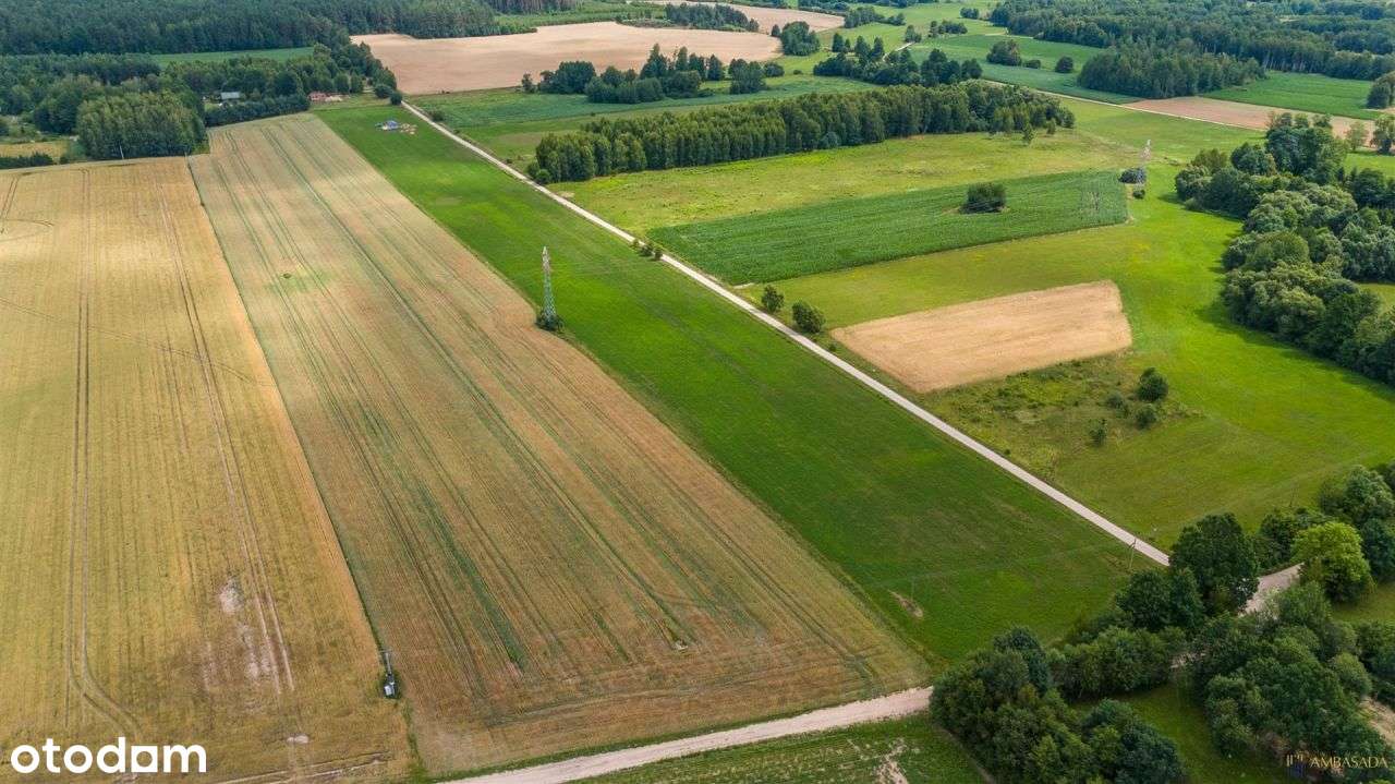 *Działka blisko natury* Podlasie* - Pełny obrazek: 4/5