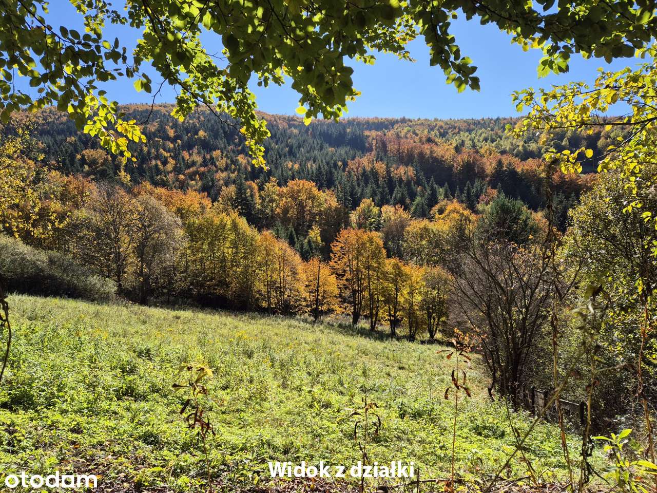 Widokowa działka z własnym lasem! - pod dom, domek weekendowy, domki-11