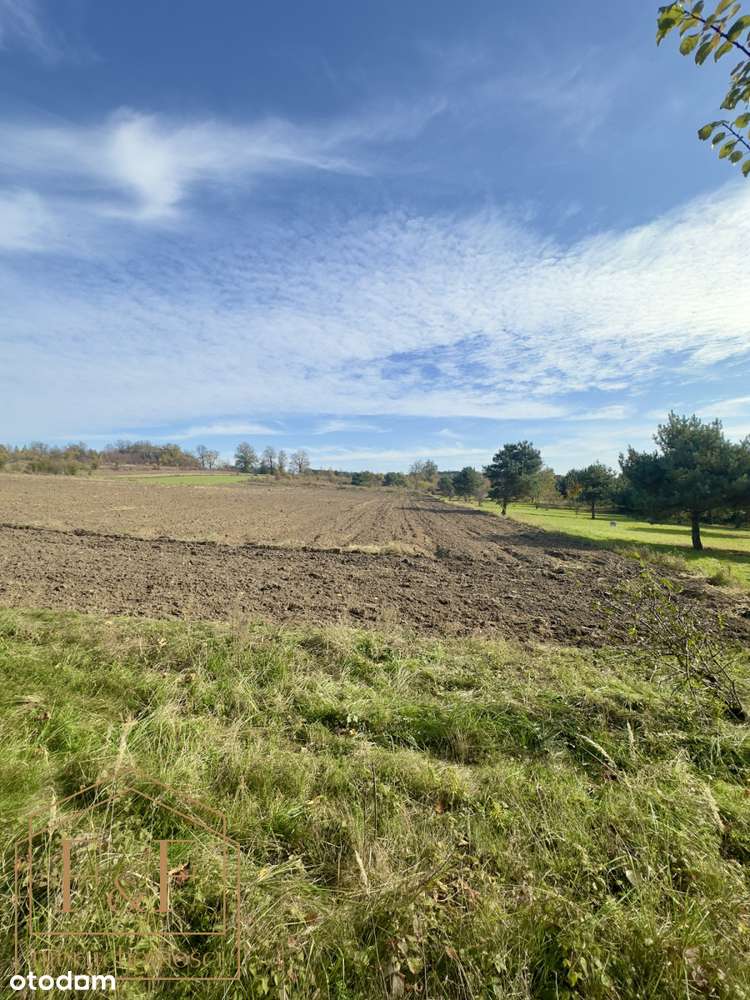 ** Budowlana Działka Choroń ul. Szkolna **-3