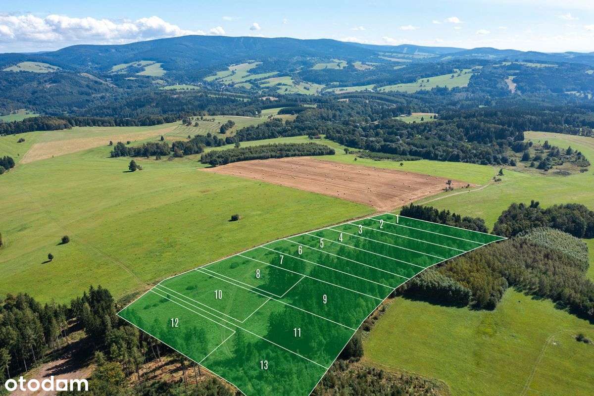 Działka widokowa z własnym lasem-3