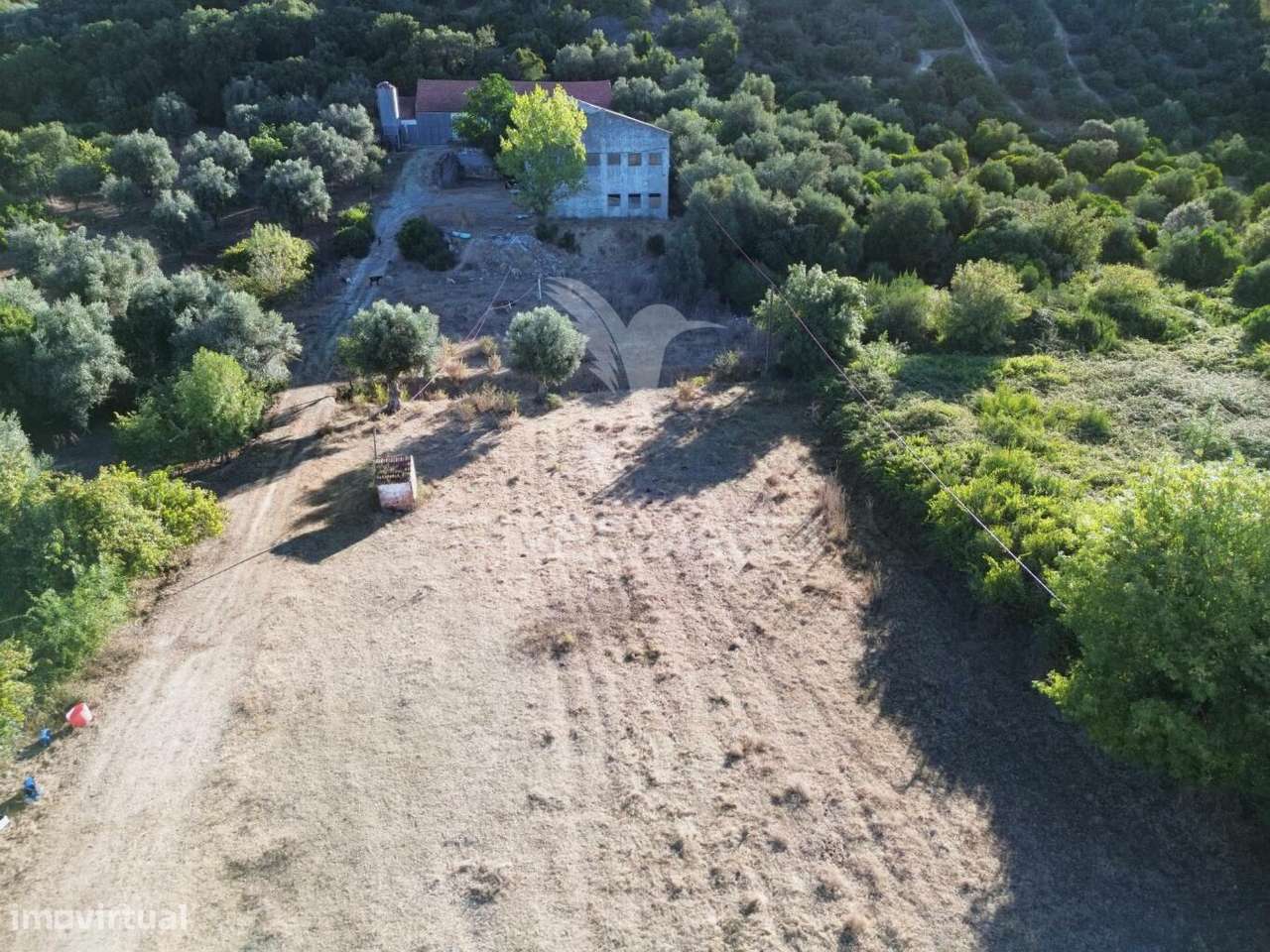 Oportunidade Única de Negócio - Aviário em Almajões, Santarém - Grande imagem: 3/34