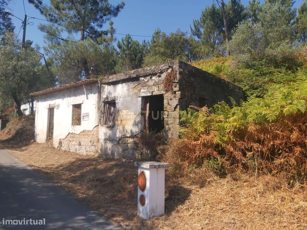 Terreno com casa em ruinas na lagoa de Santa Catarina - Grande imagem: 4/7
