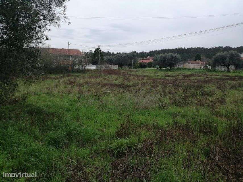 Terreno com 1.900 m2 no centro da Póvoa do Loureiro, Coimbra-0