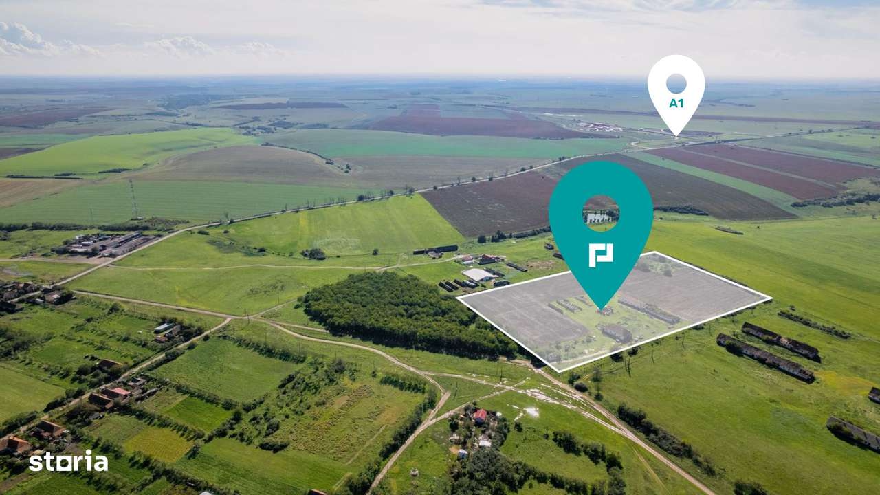 Teren de 69188 mp în Seceani - Imagine principală: 1/5