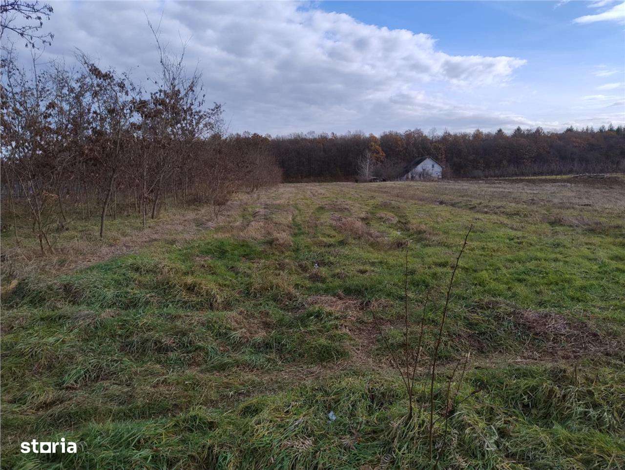 RECO Casa 3 camere, teren 5300, Alparea - Imagine principală: 5/10