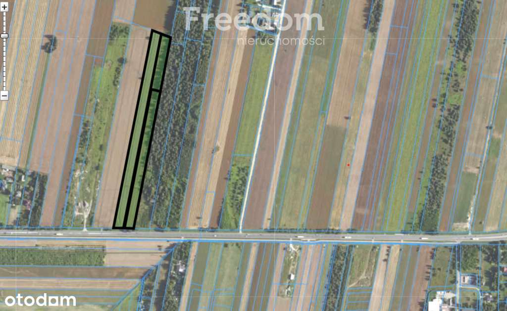 Działka 26875 m2 - Pełny obrazek: 4/7