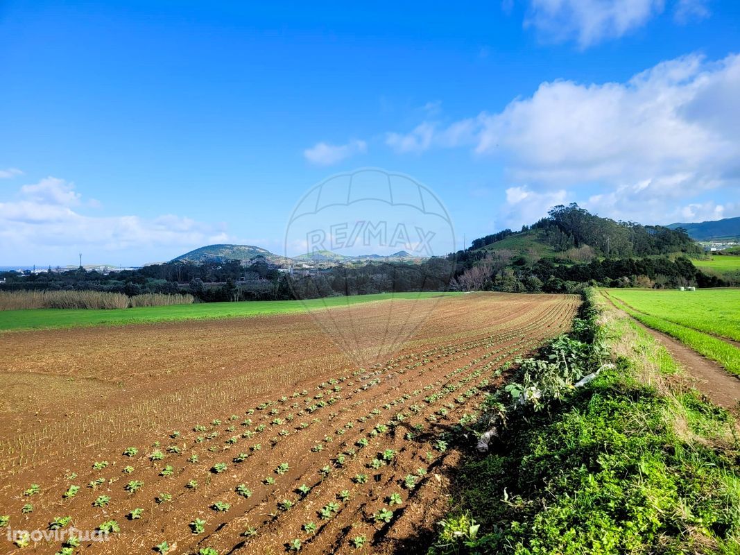 Terreno  para venda