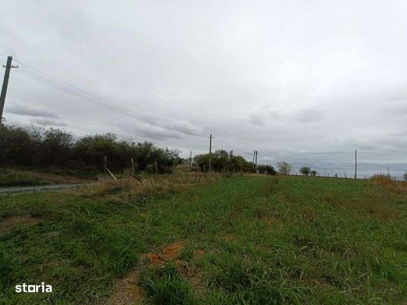 Teren intravilan 1500mp2 Comuna Stanesti Giurgiu - Imagine principală: 4/5