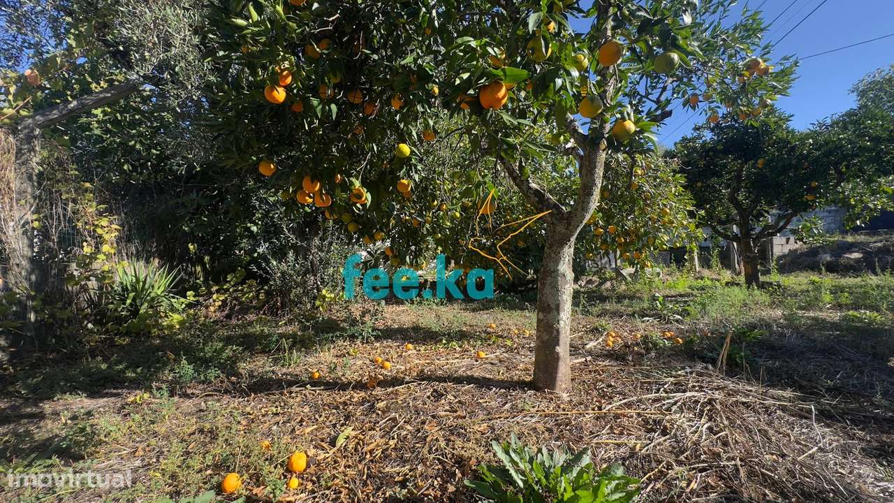 Quintinha T1 em Palvarinho-9