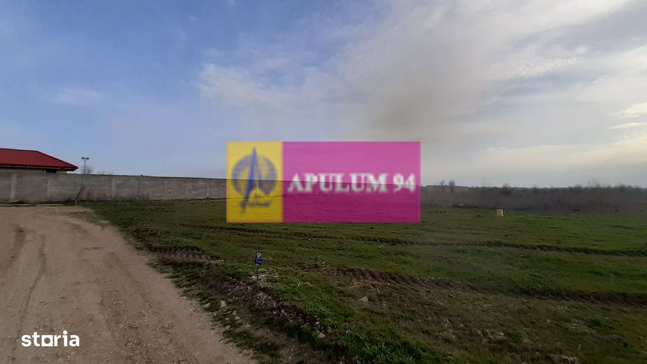 Parcelă lângă pădure în Ilfov - Imagine principală: 5/9