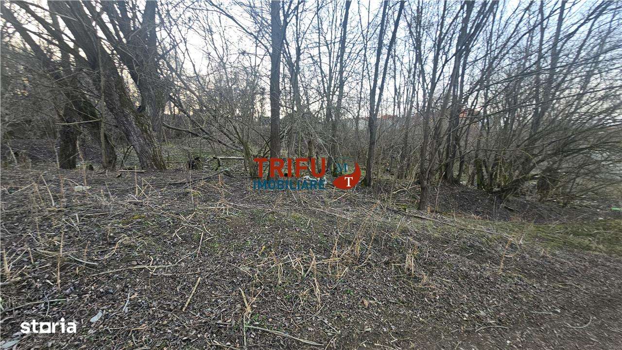 Teren Intravilan de Vânzare în Oarda - Imagine principală: 2/3