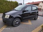 Fiat Panda - 2