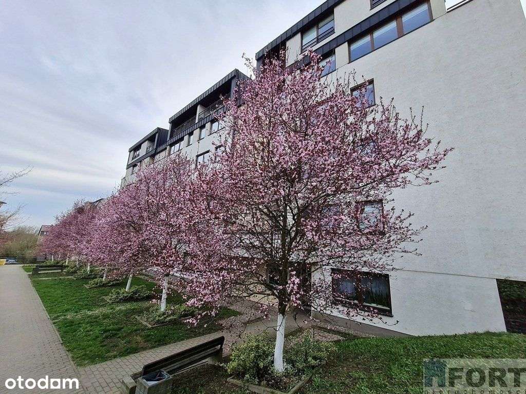 Wyjątkowe 2-pokojowe mieszkanie na Warszewie !!!-12