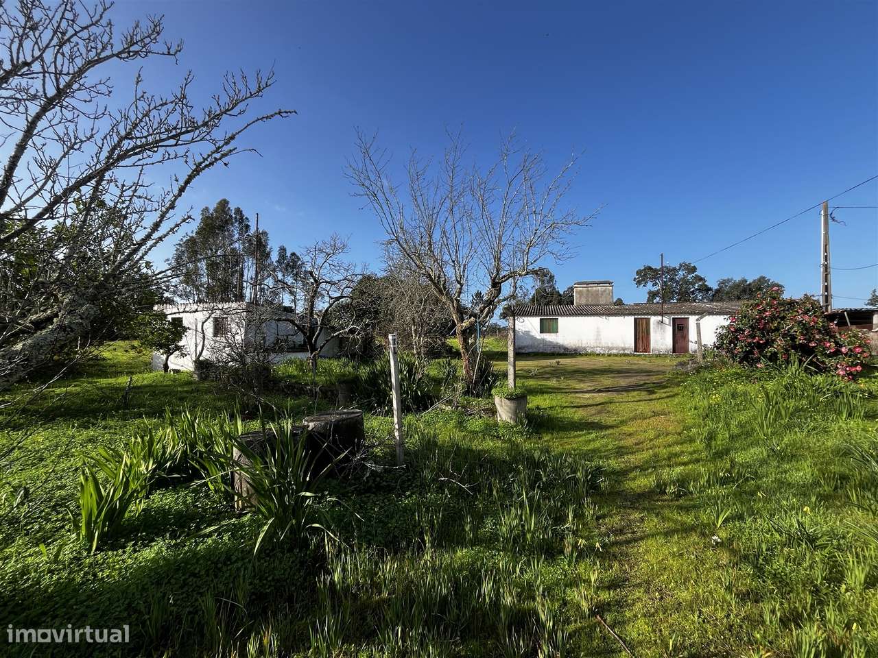 Terreno Urbano  Venda em Cortiçadas de Lavre e Lavre,Montemor-o-Novo-10