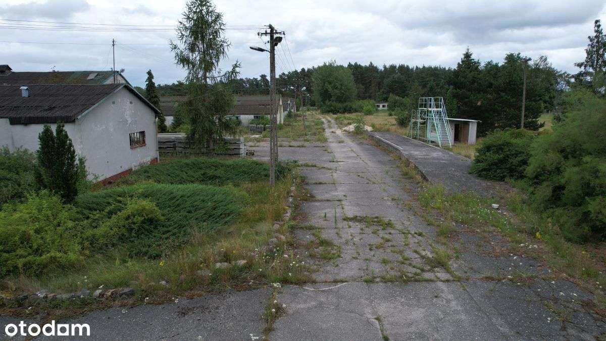 Hala/Magazyn, 8 080 m², Mierków - Pełny obrazek: 4/11