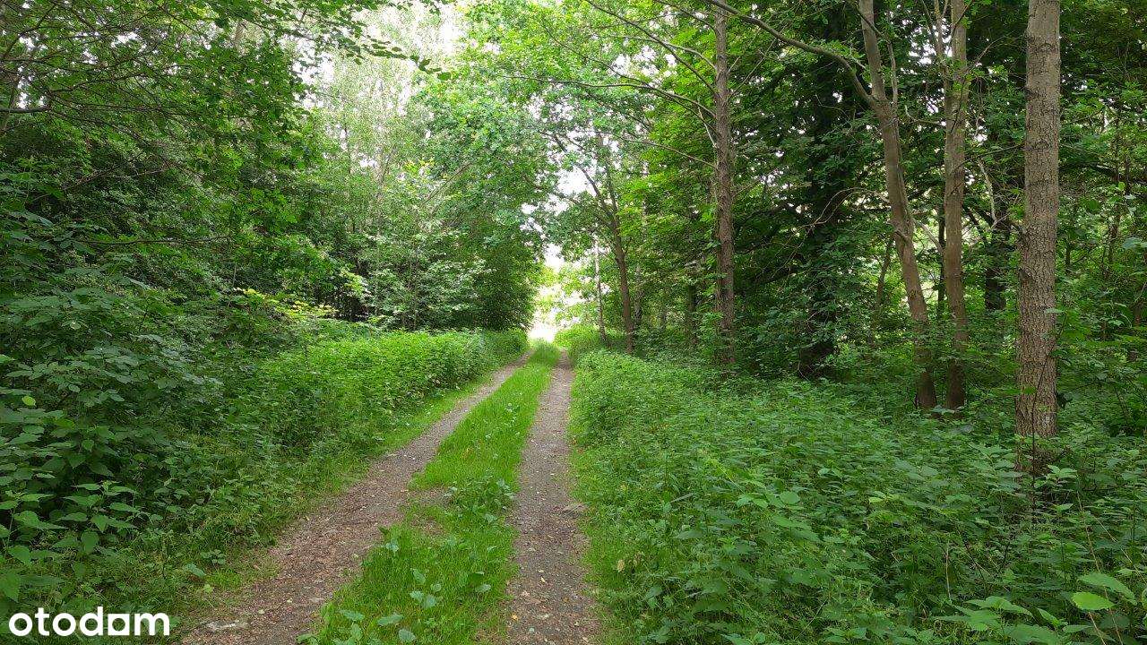 Działka komercyjna-usługi, trasa S8.-4