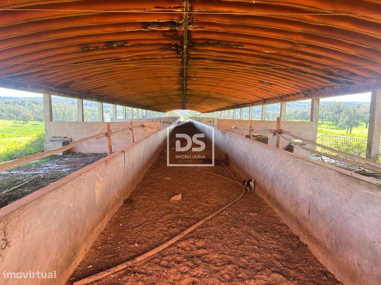 Herdade  Venda em Raposa,Almeirim-14