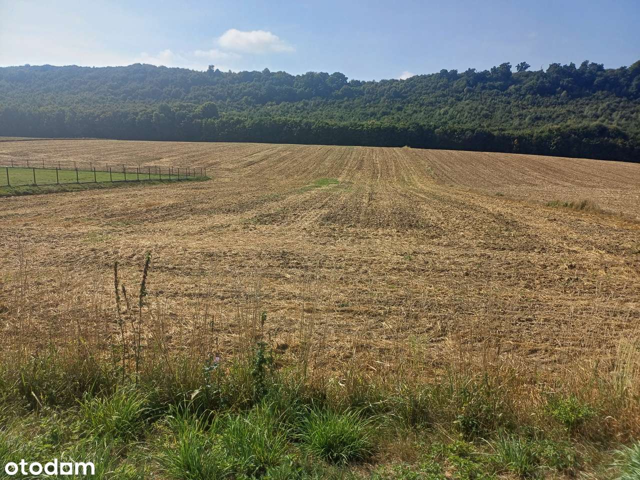Klonów, gmina Racławice - piękne działki budowlane na sprzedaż-2