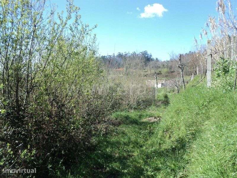 Terreno / Marco de Canaveses, Sande e São Lourenço - Grande imagem: 4/10