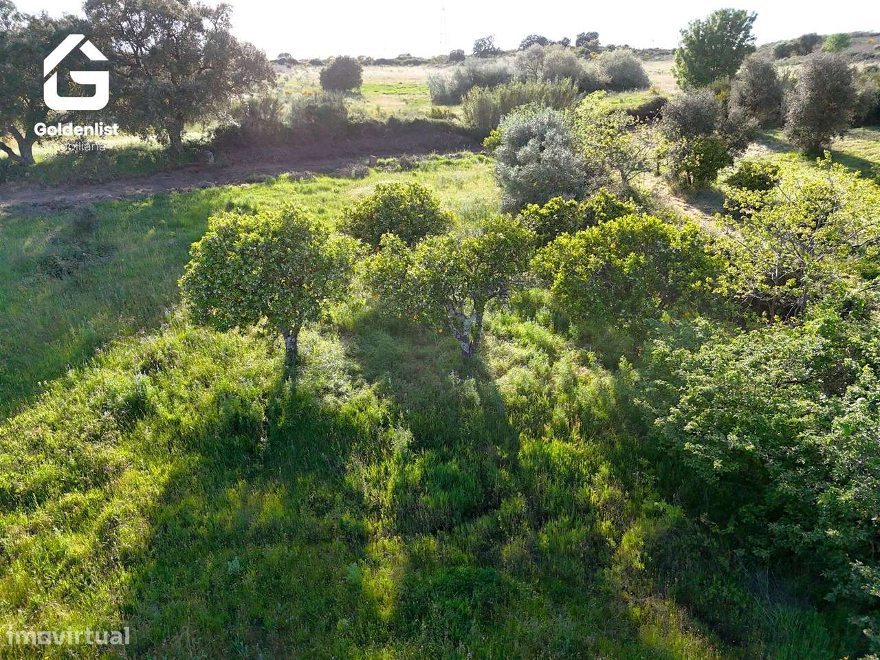 Quintinha  Venda em Escalos de Cima e Lousa,Castelo Branco-8