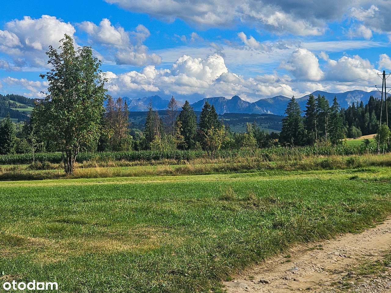 Budowlana działka z widokiem na Tatry, idealne wymiary pod dom.-11