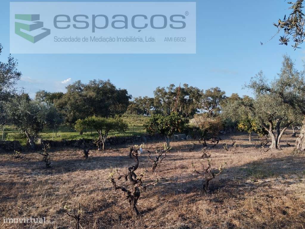 Quintinha com construções e poço - Grande imagem: 2/27