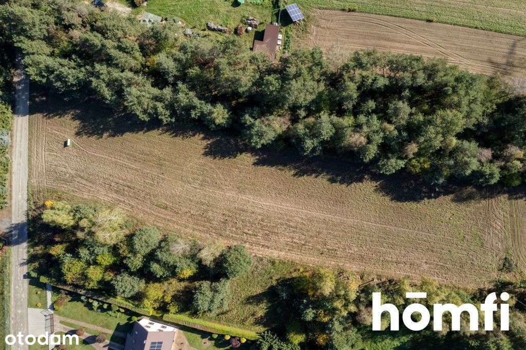 Działki budownale Brzeziny Wojska Polskiego - Pełny obrazek: 5/9