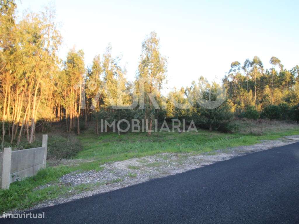 terreno para construção - Grande imagem: 4/6