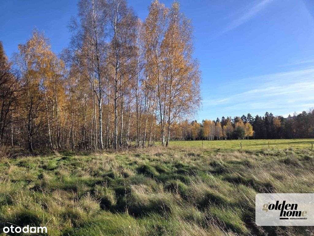 ⭐️Brzozowy Gaj⭐️działki na Przedgórzu Izerskim-5