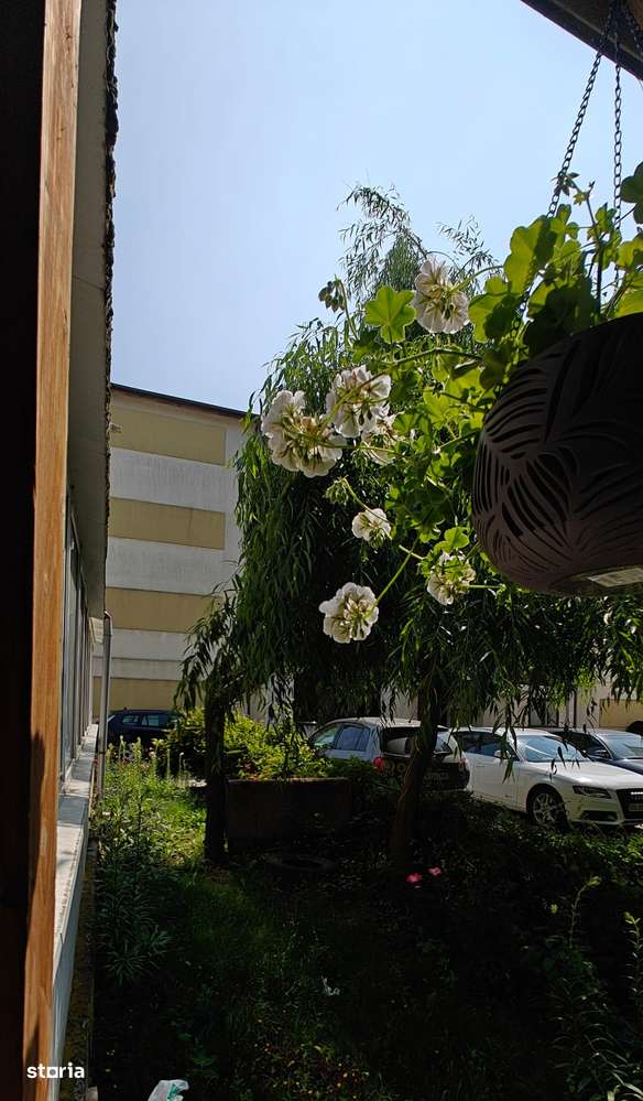 Apartament 4 Camere Parter 103mp Utili 2 Locuri Parcare Terasa Gradina-7