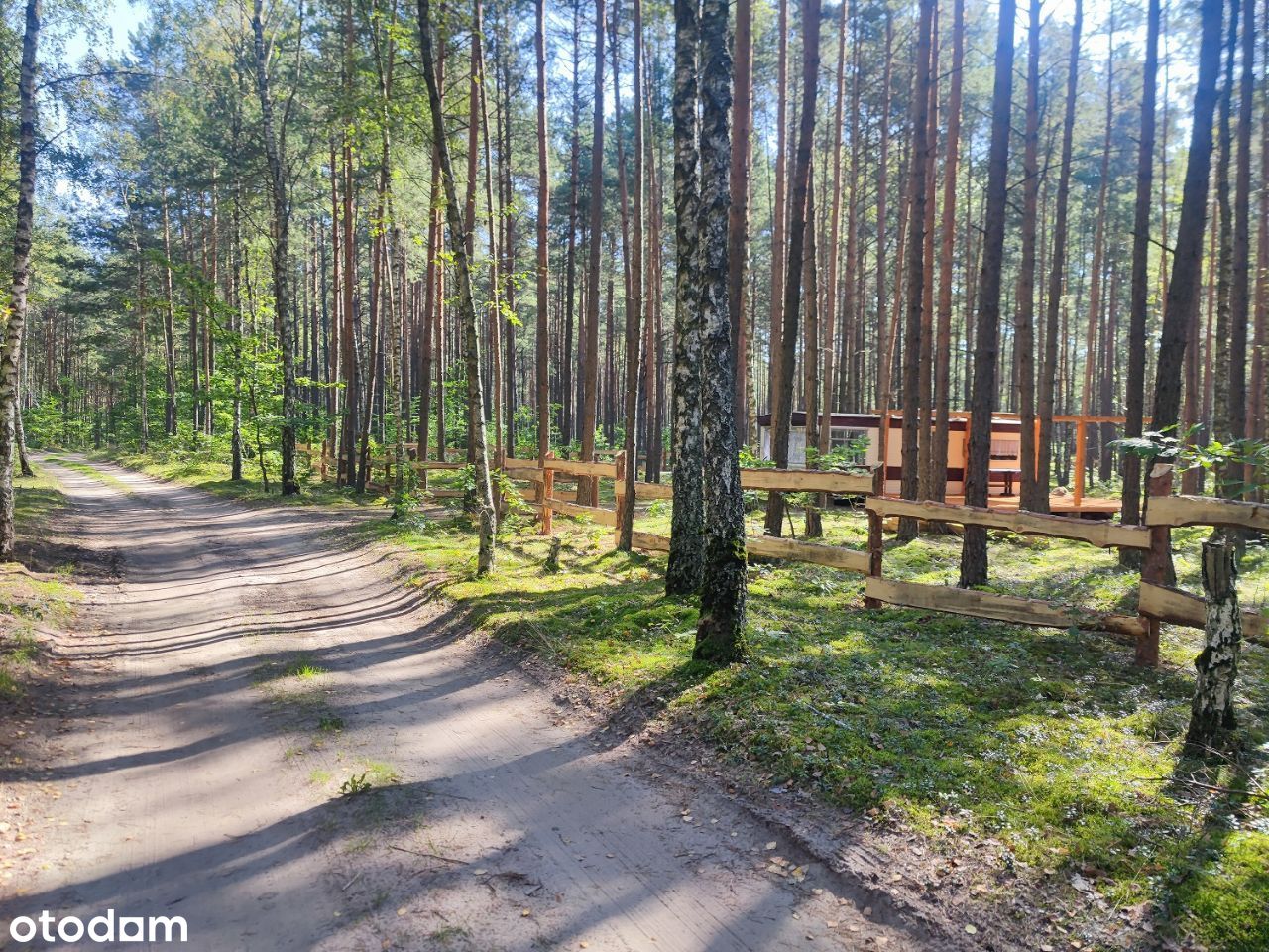 Działka nad jeziorem Trzechowskim - Bory Tucholski