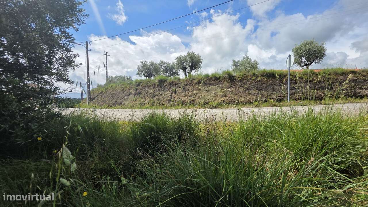 Excelente Terreno para Moradia a 5 kms de Tomar-34