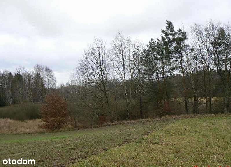 Świdwin . Działka 3100 m2 . Las . Jezioro . Morze.-3