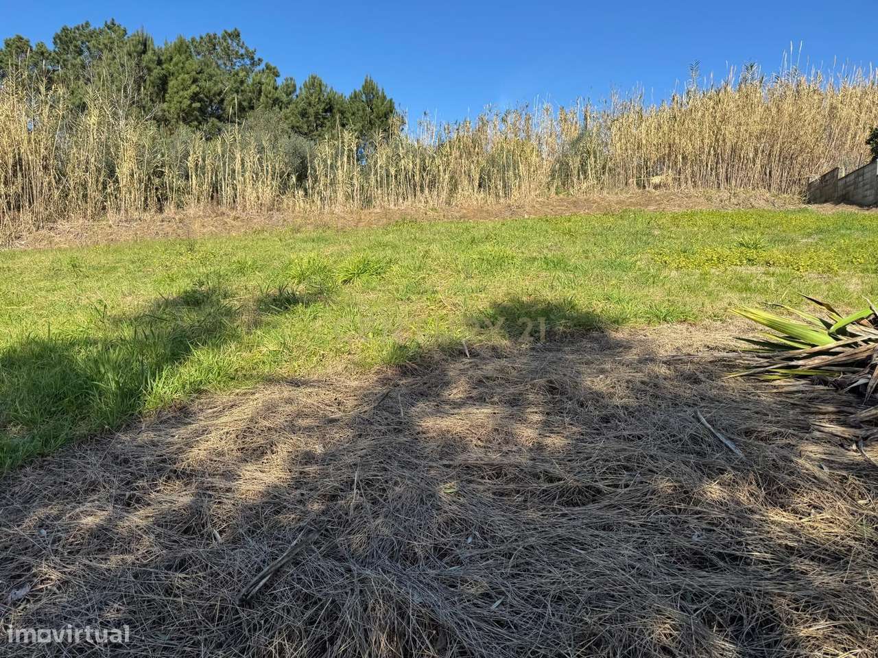 Terreno Panorâmico em Pombal - 1020m² por 34.500€ - Mais