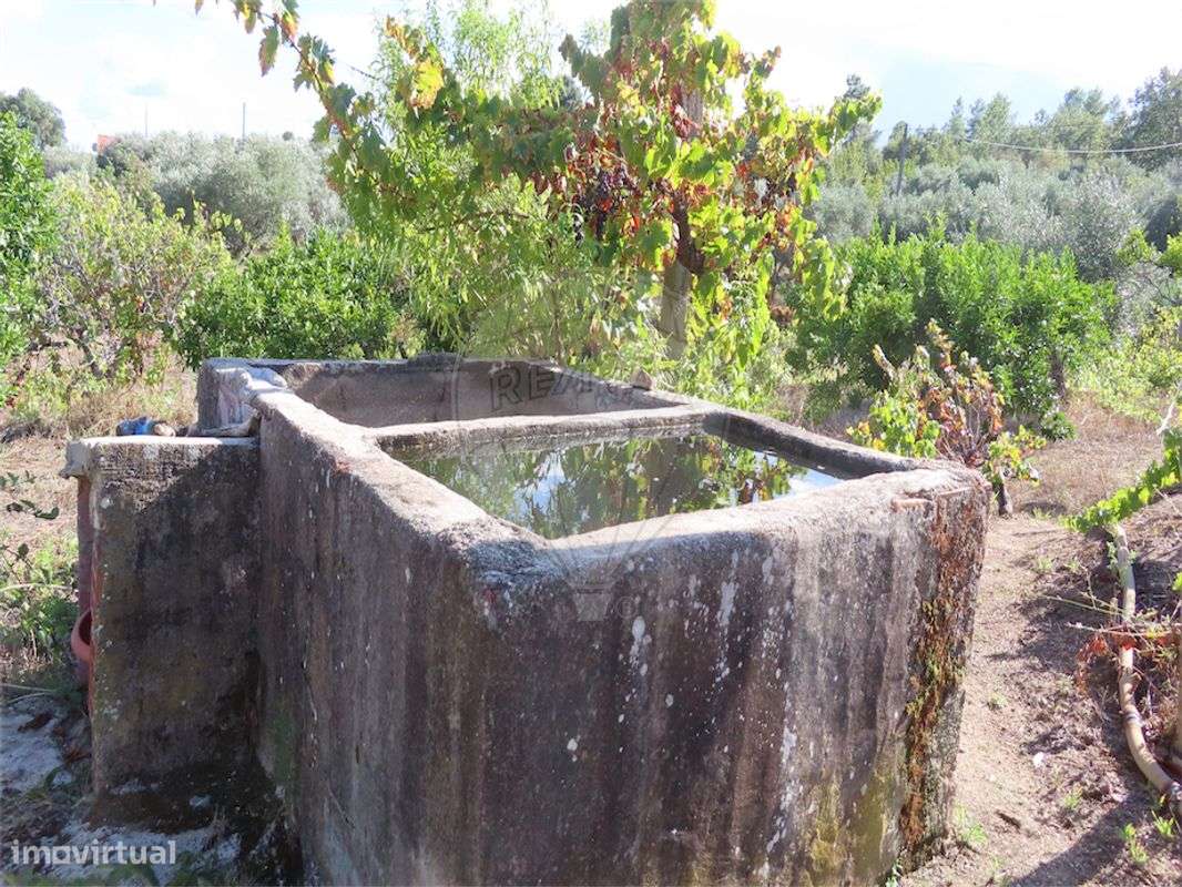 Quinta  para venda - Grande imagem: 4/45