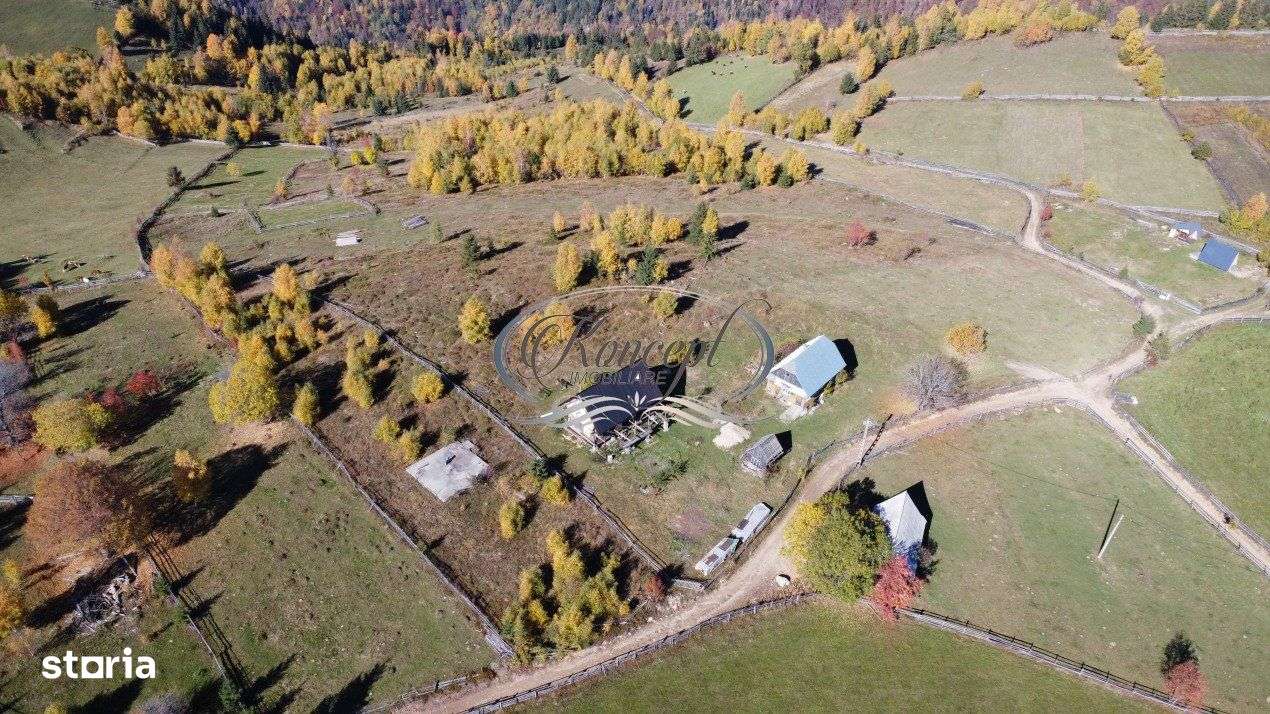 Oaza de natura si traditie cu potential turistic in Muntii Apuseni - Imagine principală: 4/8