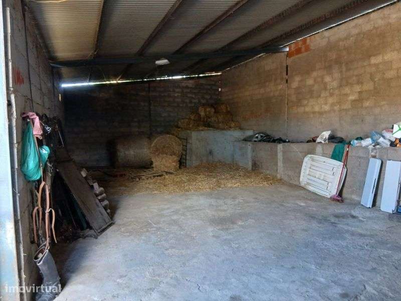 Terreno com pavilhão com 200 metros quadrados e mais anexos - Grande imagem: 5/8