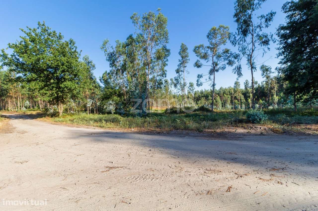 Terreno Rústico com 7.900 m2 em Monte Córdova - Santo Tirso - Grande imagem: 4/11