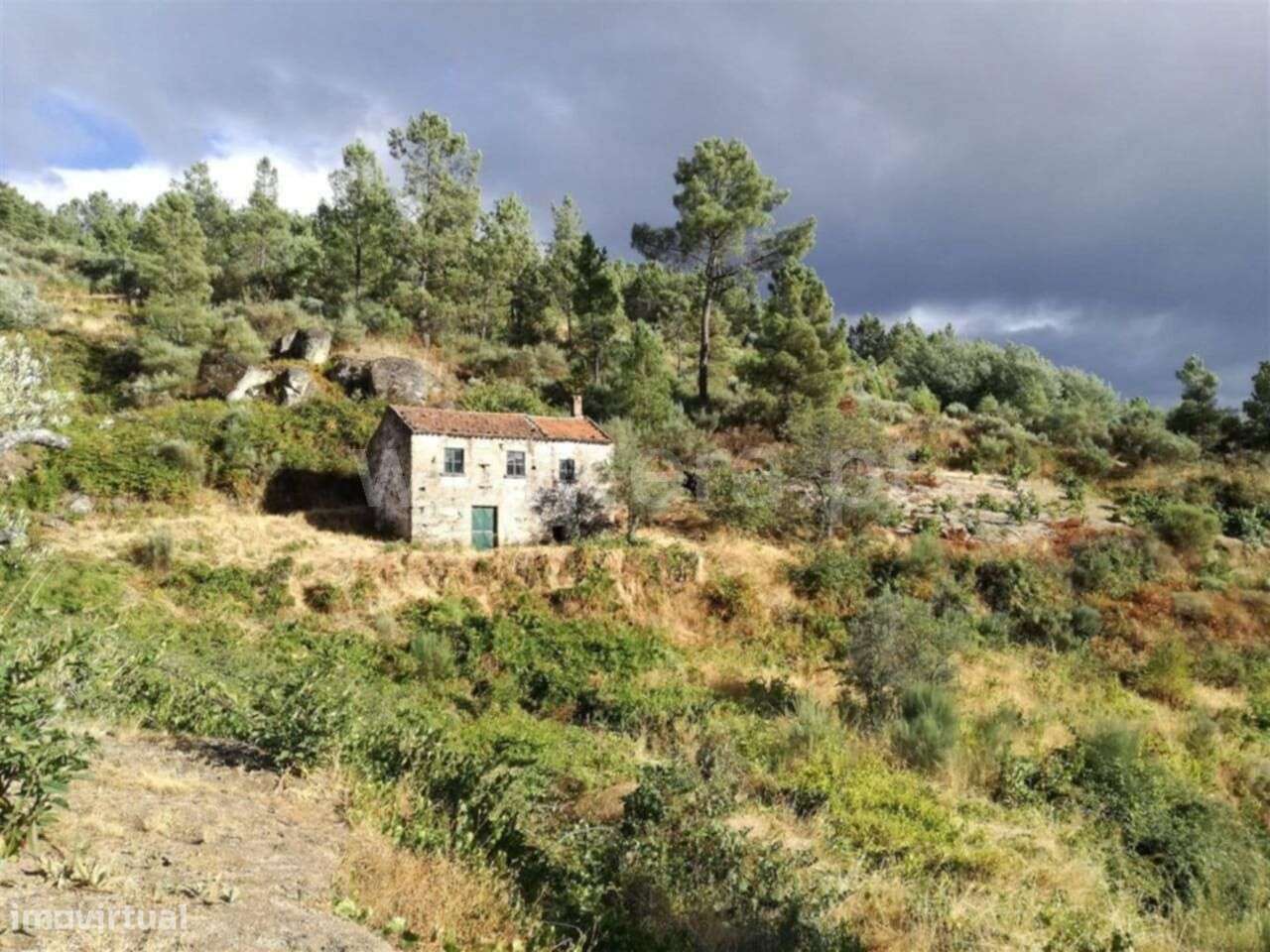 Quintinha T1 / Covilhã, Teixoso e Sarzedo - Grande imagem: 2/14