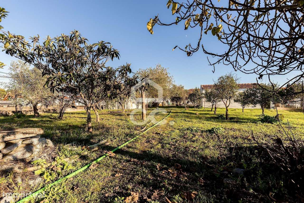 Terreno de  1.350 m² c/ Anexo de Apoio Agrícola | Canaviais, Évora-21
