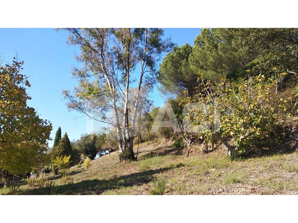 TERRENO MORADIA - Fontes, Leiria - Grande imagem: 3/9