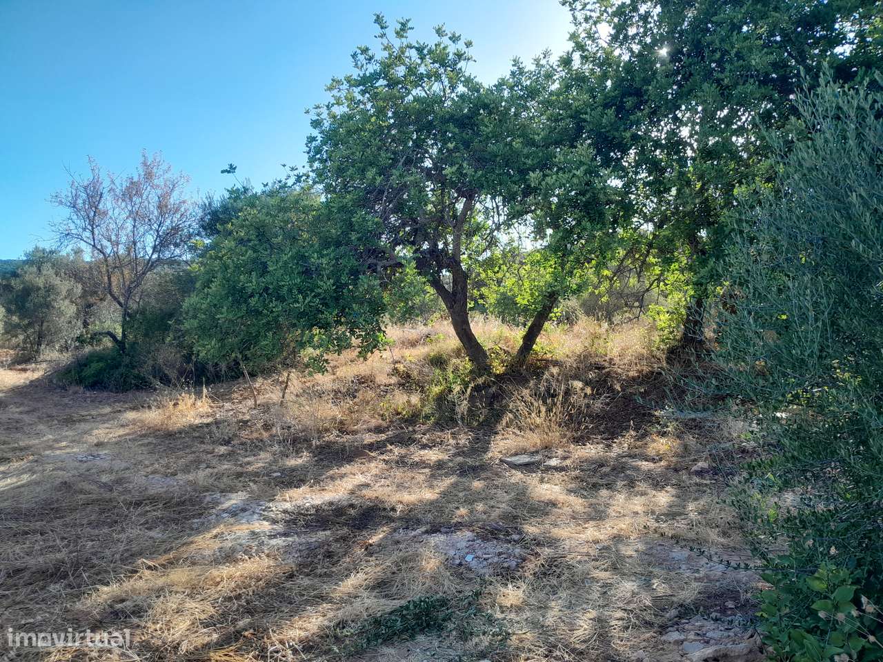 Moradia T3 C/ 10.000M2 Terreno C/ Furo-16