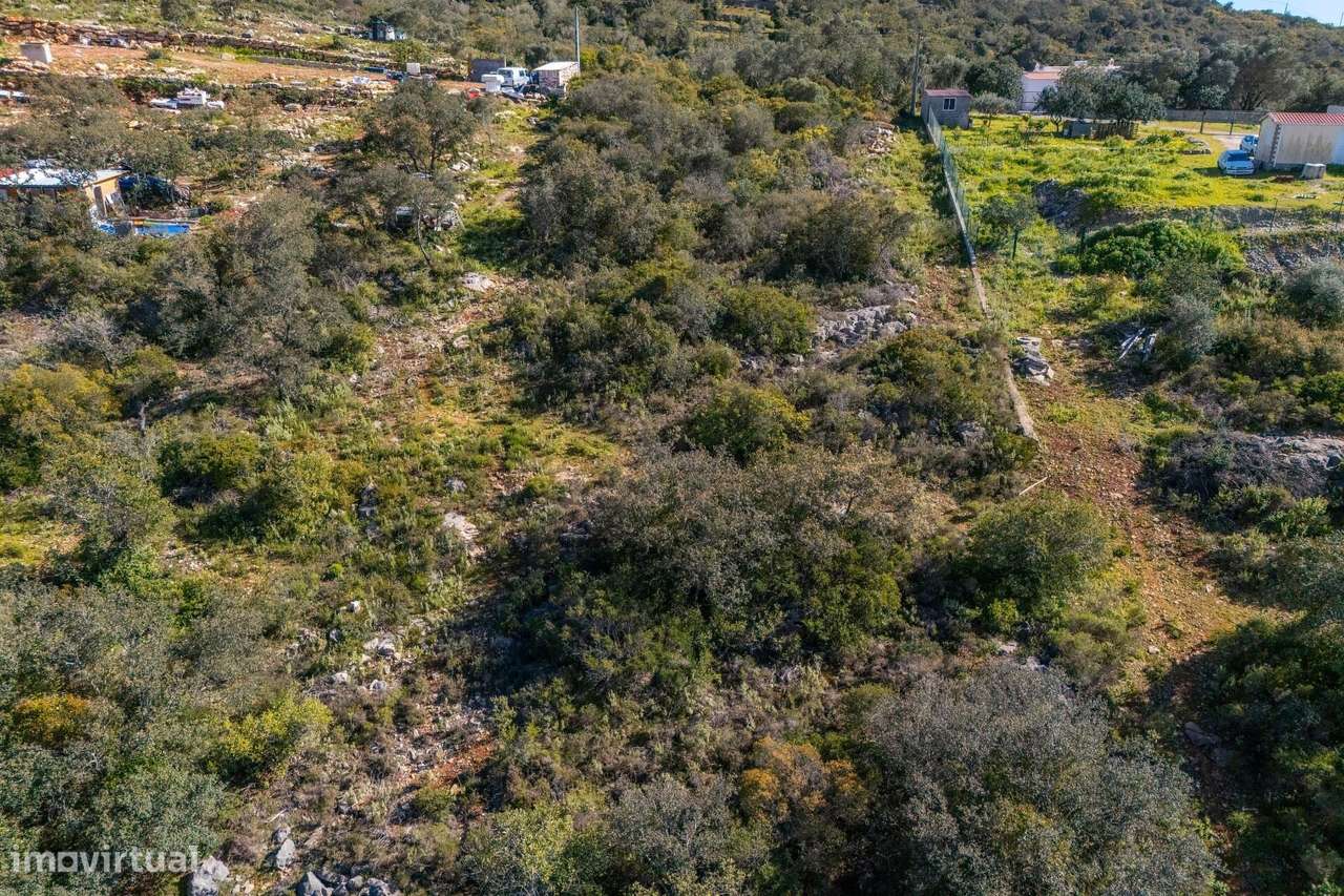 Terreno rustico com 9560m2, localizado em Azinheiro. - Grande imagem: 3/16