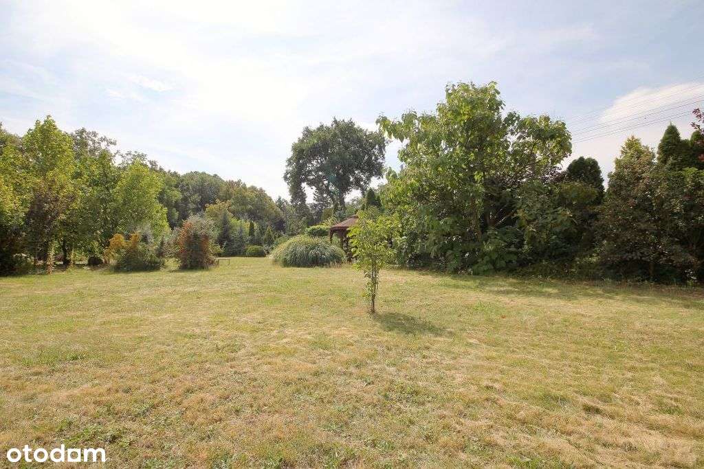 Działka budowlano-usługowa w sercu Parku - Pełny obrazek: 3/9