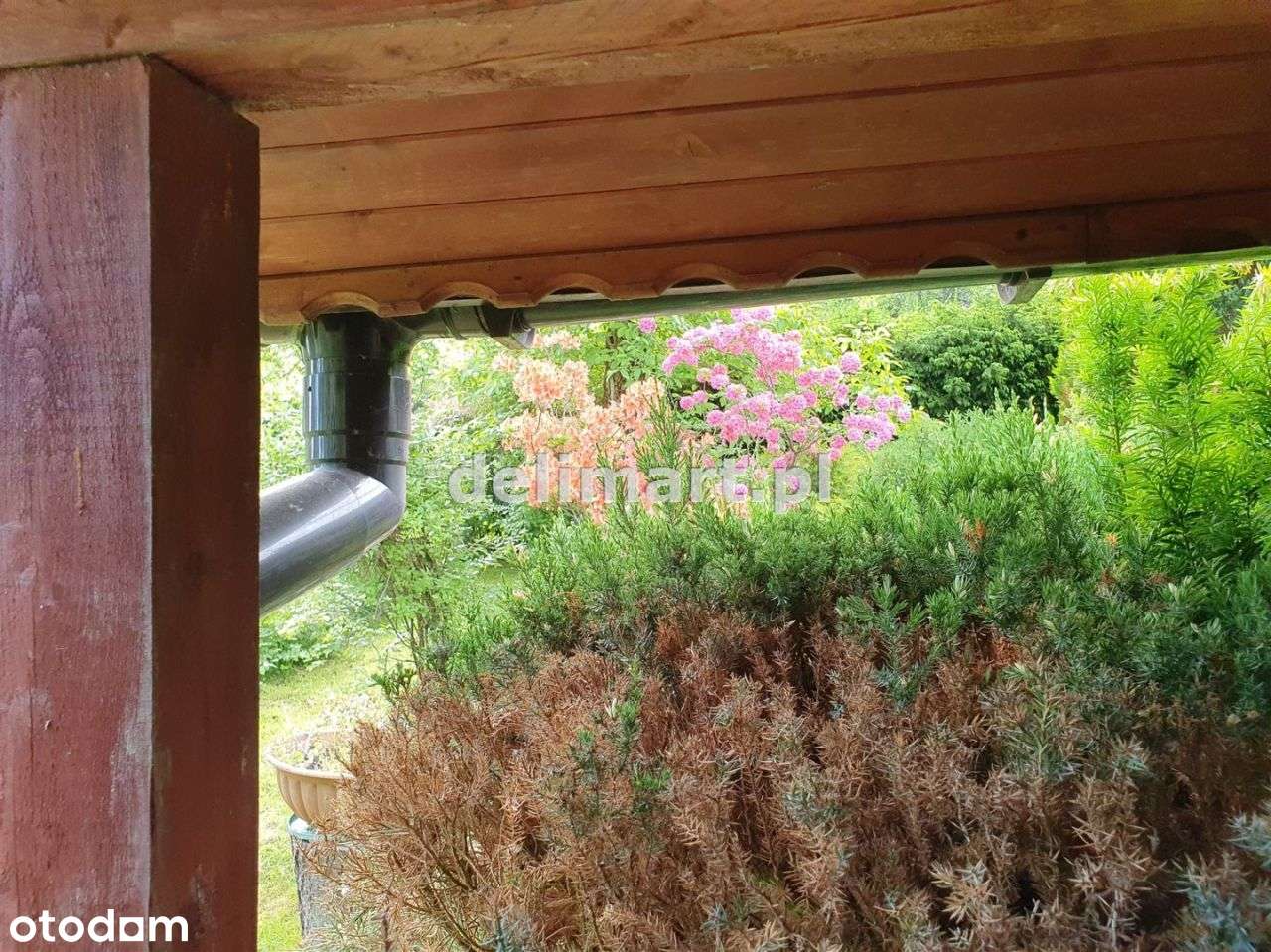 Atrakcyjna działka Rod z ładnym domkiem i krzewami - Pełny obrazek: 4/20