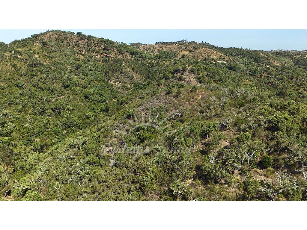Terreno Misto para construção de Habitação ou Turismo - Melides-20